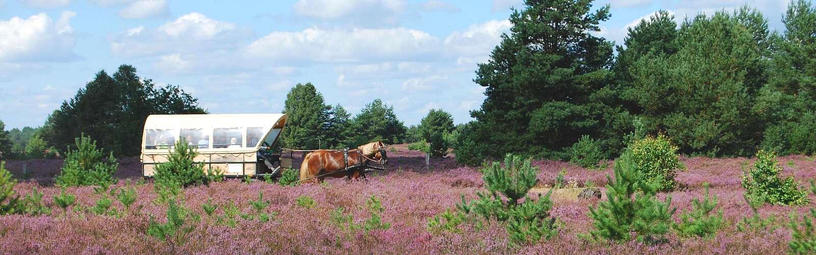 GB KRH DSC 0126 Susanne Wunderlich 2560x800