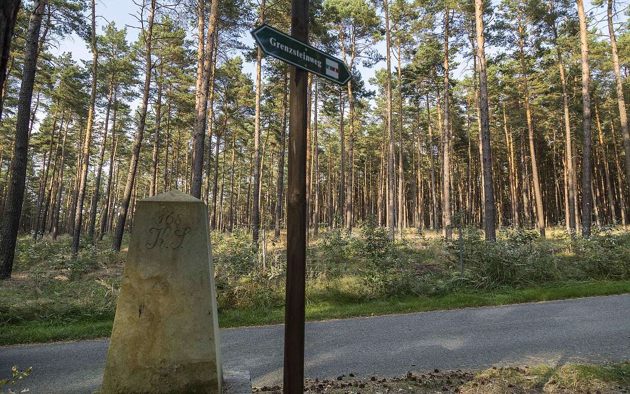 Grenzstein am Heidebergturm, Foto: TMB-Fotoarchiv/ Steffen Lehmann