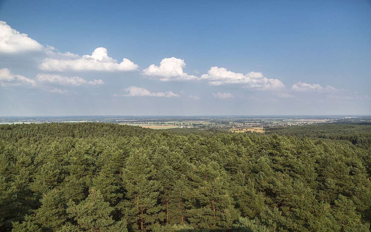 Aussicht vom Heidebergturm, Foto: TMB-Fotoarchiv/ Steffen Lehmann