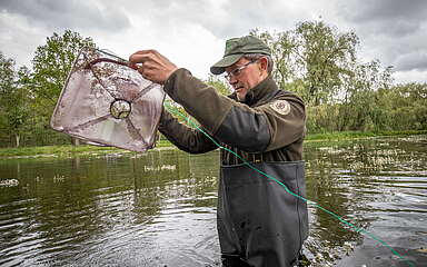 Niederlausitzer Landruecken