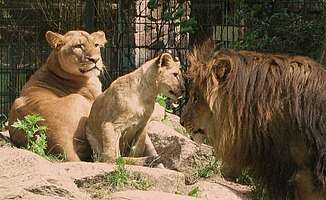 Zoos & Tierparks