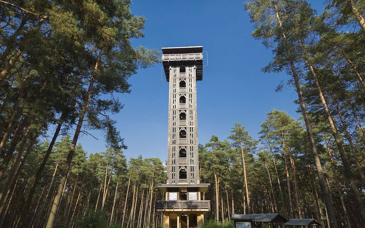 Heidebergturm, Foto: TMB-Fotoarchiv/ Steffen Lehmann