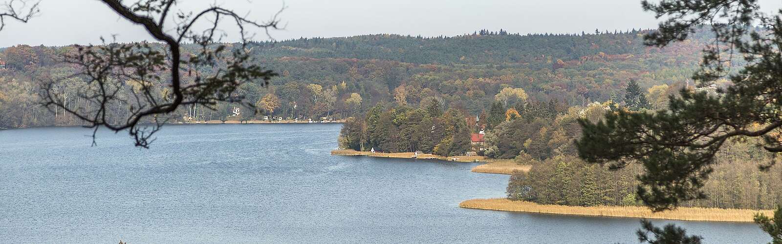 Schermützelsee bei Buckow