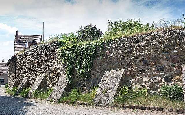 Stadtmauer von Lychen Stadtmauer von Lychen