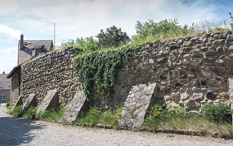 Stadtmauer von Lychen