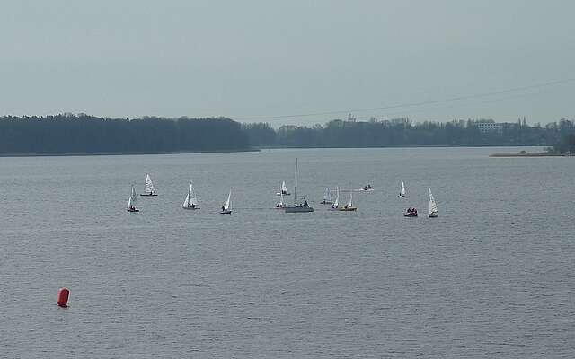 Segelboote auf dem Ruppiner See