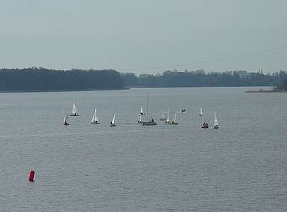 Segelboote auf dem Ruppiner See