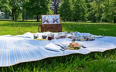 Picknick im Park Schloss Neuhardenberg