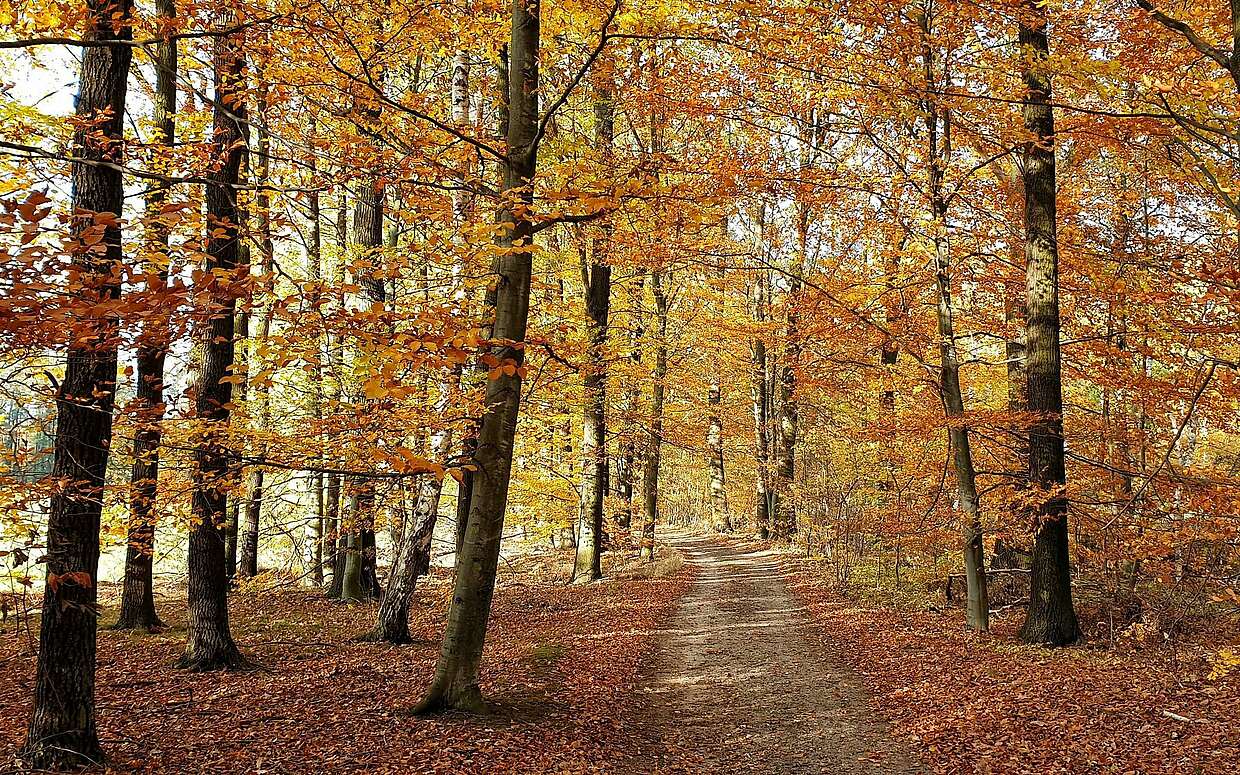 In der Calauer Schweiz