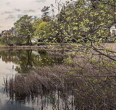Großer Däbersee in Waldsieversdorf