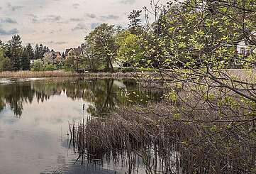 Großer Däbersee in Waldsieversdorf