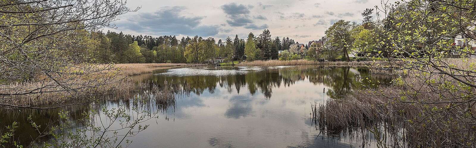Großer Däbersee in Waldsieversdorf