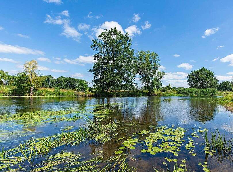 Müggelspree