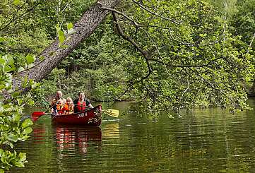 Familien-Kanutour im Naturpark Dahme-Heideseen