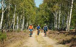 Radtouren für Familien