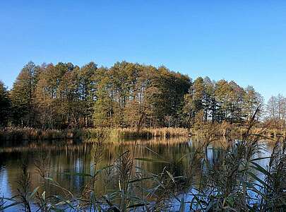 In der Calauer Schweiz