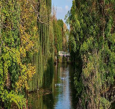 Nottekanal in Königs Wusterhausen