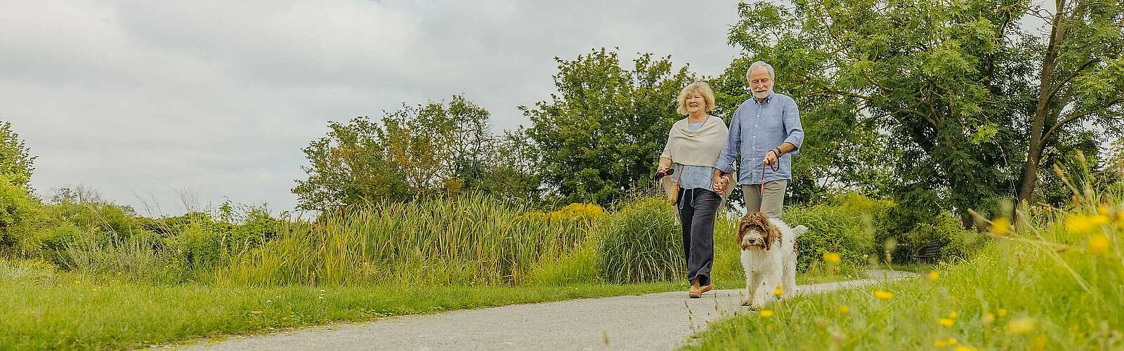 Parkspaziergang mit Hund