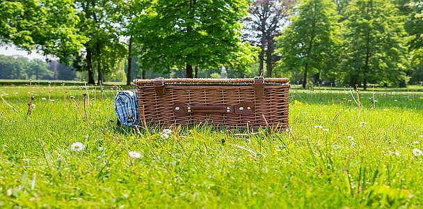 Picknickkoffer im Park