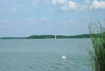 Blick auf den Schwielochsee