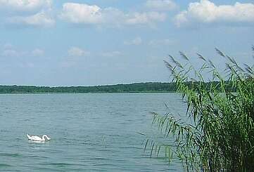 Blick auf den Schwielochsee
