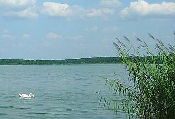 Blick auf den Schwielochsee
