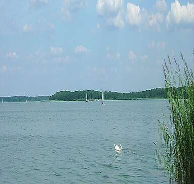 Blick auf den Schwielochsee