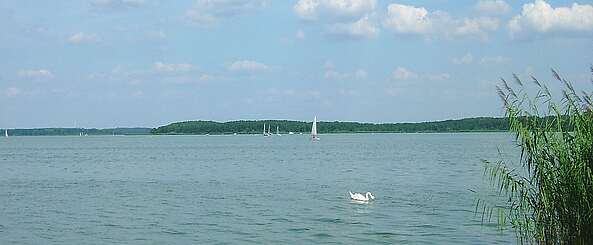 Blick auf den Schwielochsee