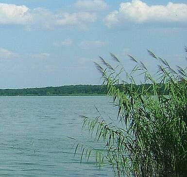 Blick auf den Schwielochsee