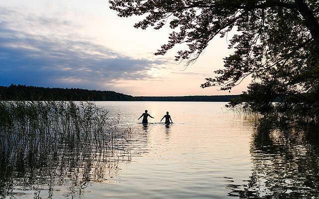 Badende im Stechlinsee Badende im Stechlinsee