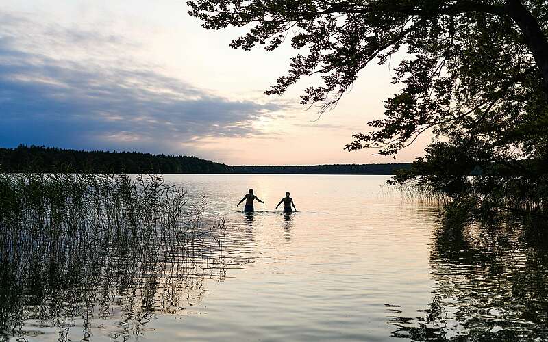 Badende im Stechlinsee