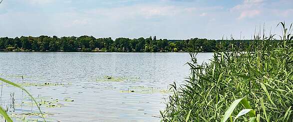 Teupitzer See