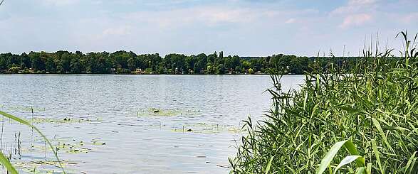 Teupitzer See