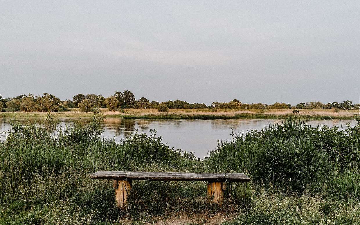 Oderbruch