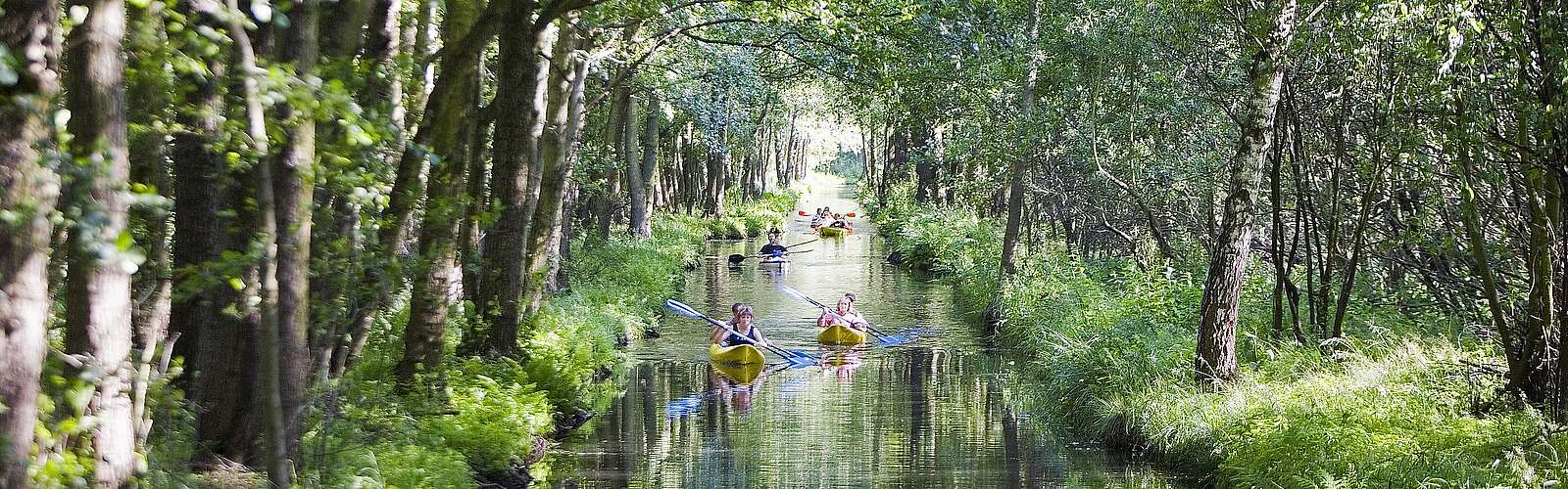 Paddeln im Spreewald