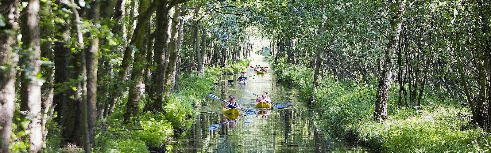 Paddeln im Spreewald