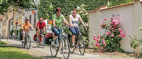 Tour Brandenburg im Elbe-Elster-Land