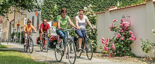 Tour Brandenburg im Elbe-Elster-Land