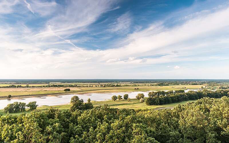 Blick über die Elbtalaue
