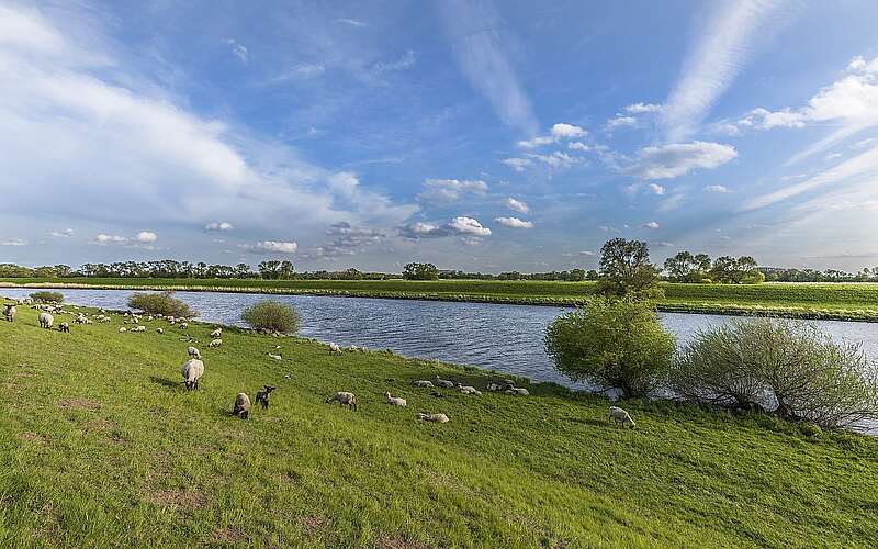 Elbe bei Rühstädt