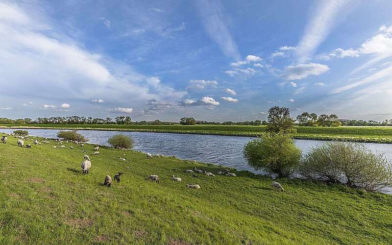 Elbe bei Rühstädt