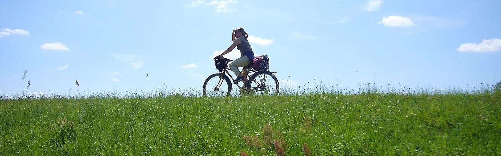 Mit dem Fahrrad auf dem Elberadweg