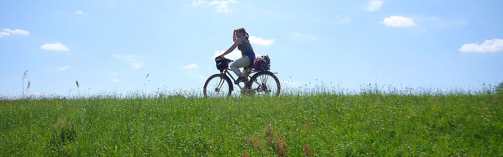 Mit dem Fahrrad auf dem Elberadweg