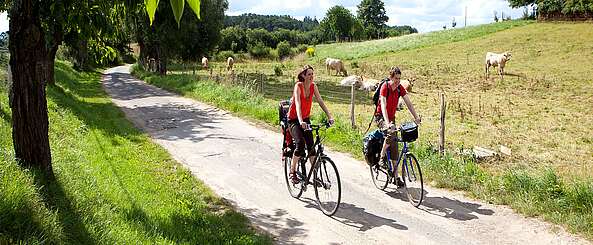 Radfahrer bei Lychen