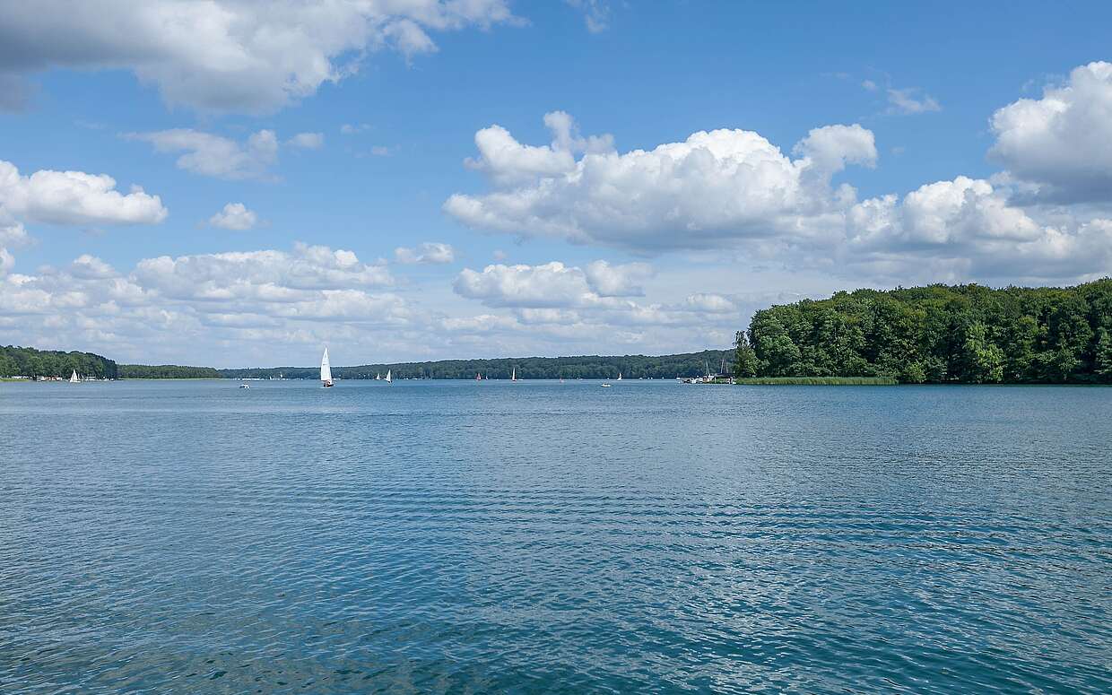 Werbellinsee