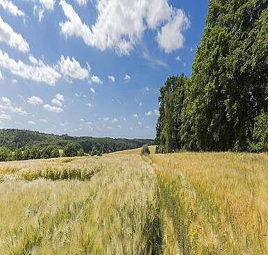 Landschaft bei Haßleben in der Uckermark