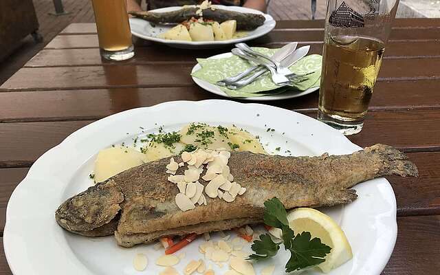 Fischgericht in der Springbachmühle Bad Belzig