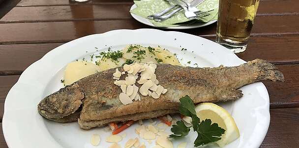 Fischgericht in der Springbachmühle Bad Belzig