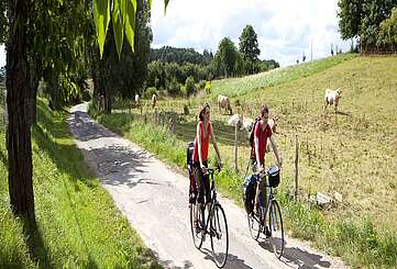 Radfahrer bei Lychen