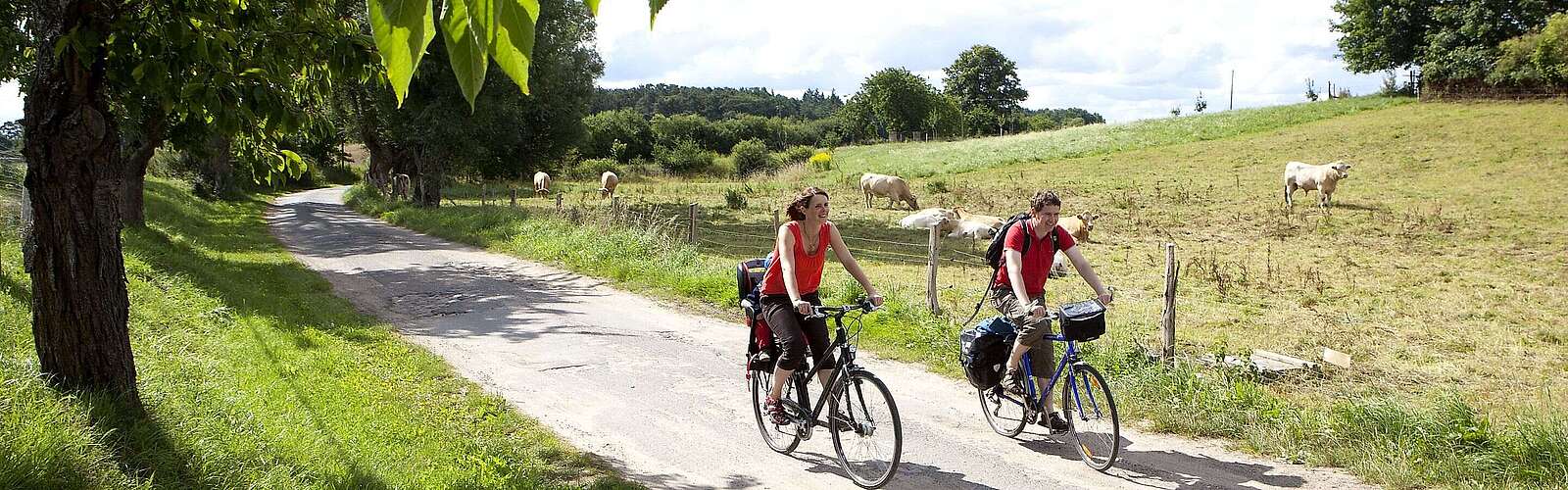 Radfahrer bei Lychen